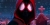 Spider-Man: Un Nuevo Universo
