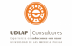 UDLAP Consultores