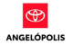 Toyota Angelopolis