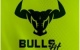 BullsFit
