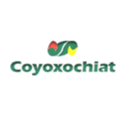 Logotipo - Coyoxochiat - Montaña Verde