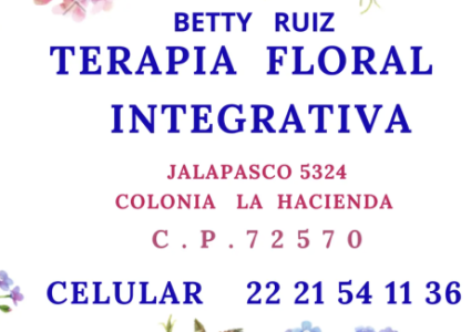 Logotipo - Andromeda Consultoría