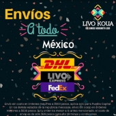  - Tienda departamental en línea Livo Koua