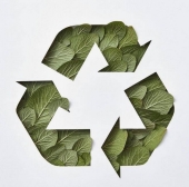  - Ecorgánico - Soluciones Ecológicas Puebla