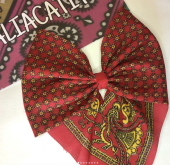  - Paliacatitos
