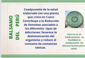  - Andromeda Consultoría
