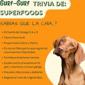  - Gurf Gurf