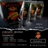  - Moles Y Salsas Corazón Mestizo