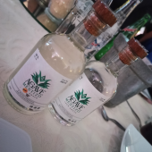 - Agave Mestizo