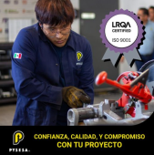  - PYSESA