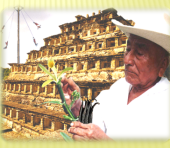  - Coyoxochiat - Montaña Verde