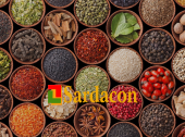  - Sardacon