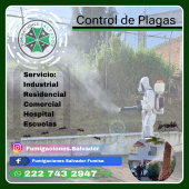 - Fumigaciones Salvador