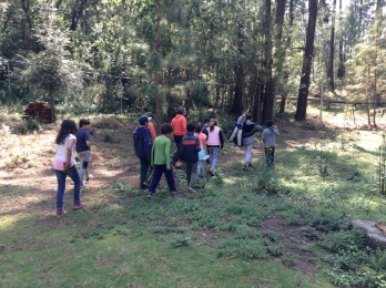 Campamento Anrod School 2017 - Anrod School - Puebla