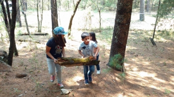Campamento Anrod School 2017 - Anrod School - Puebla