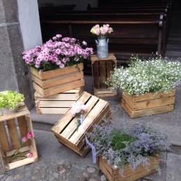 Florería Aurora Flowers & Co. en Puebla y CDMX - Puebla