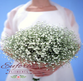 Florería Euforia - Puebla