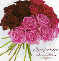 Florería Euforia - Puebla
