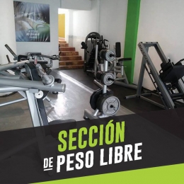 Peso Libre. - Body Force Women - Puebla