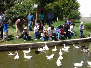 Disfrutando de los patos - Granja Didáctica El Ranchito - Puebla