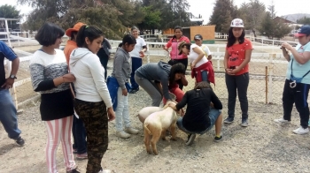 Quien se atreve a tocarlos? - Granja Didáctica El Ranchito - Puebla