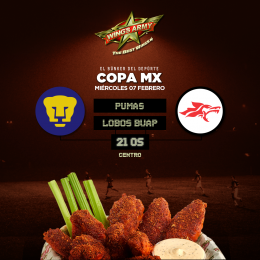 Wing's Army Puebla - Puebla