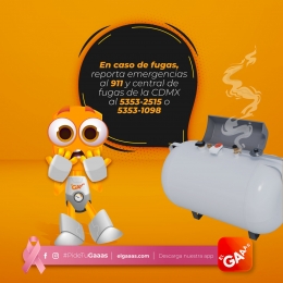 El Gaaas - Dispositivo para control y monitoreo del Gas LP - Puebla