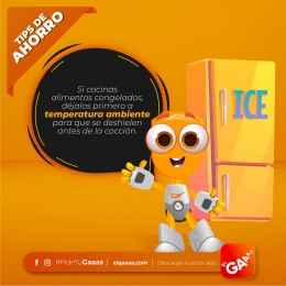 El Gaaas - Dispositivo para control y monitoreo del Gas LP - Puebla