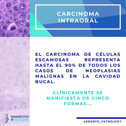 Dentista - Dr. Manuel Valderrama Hernández - Puebla