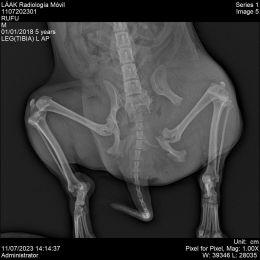 LÁAK Radiología Móvil - Puebla