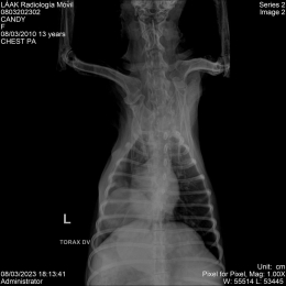 LÁAK Radiología Móvil - Puebla