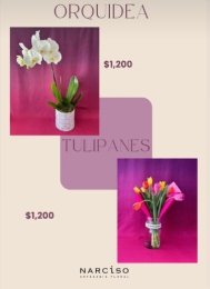 Narciso - Artesanía Floral - Puebla