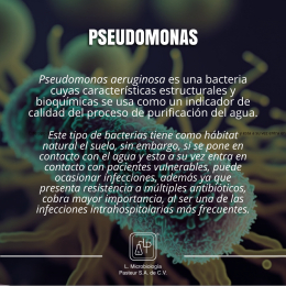 Laboratorio de Microbiología Pasteur - Puebla