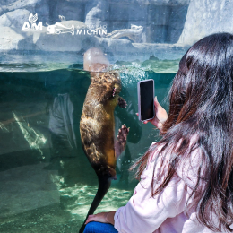 Acuario Michin Puebla - Puebla