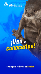 Acuario Michin Puebla - Puebla