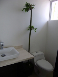 Baños bien ventilados  - Nivel Uno Constructora - Puebla
